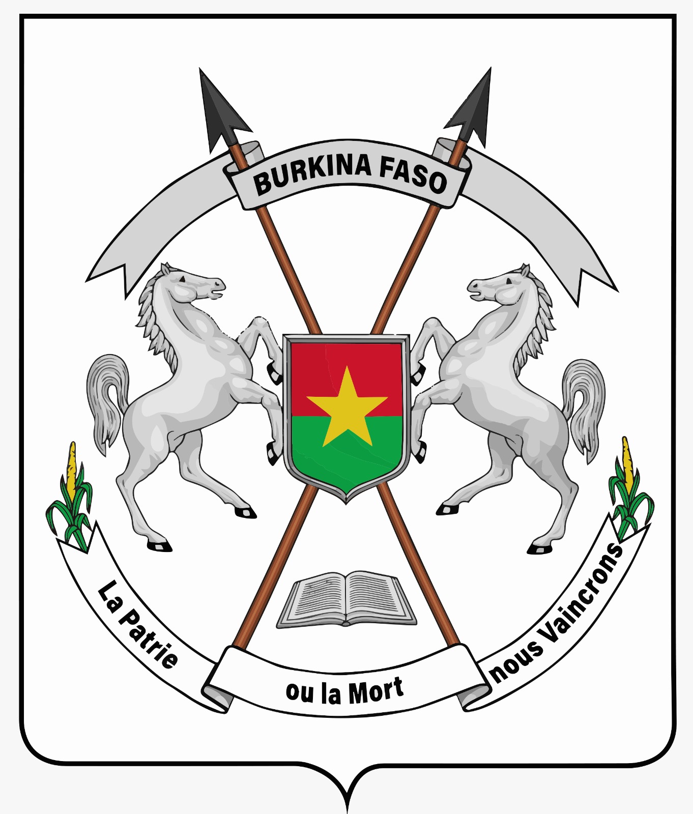 Logo DGCI